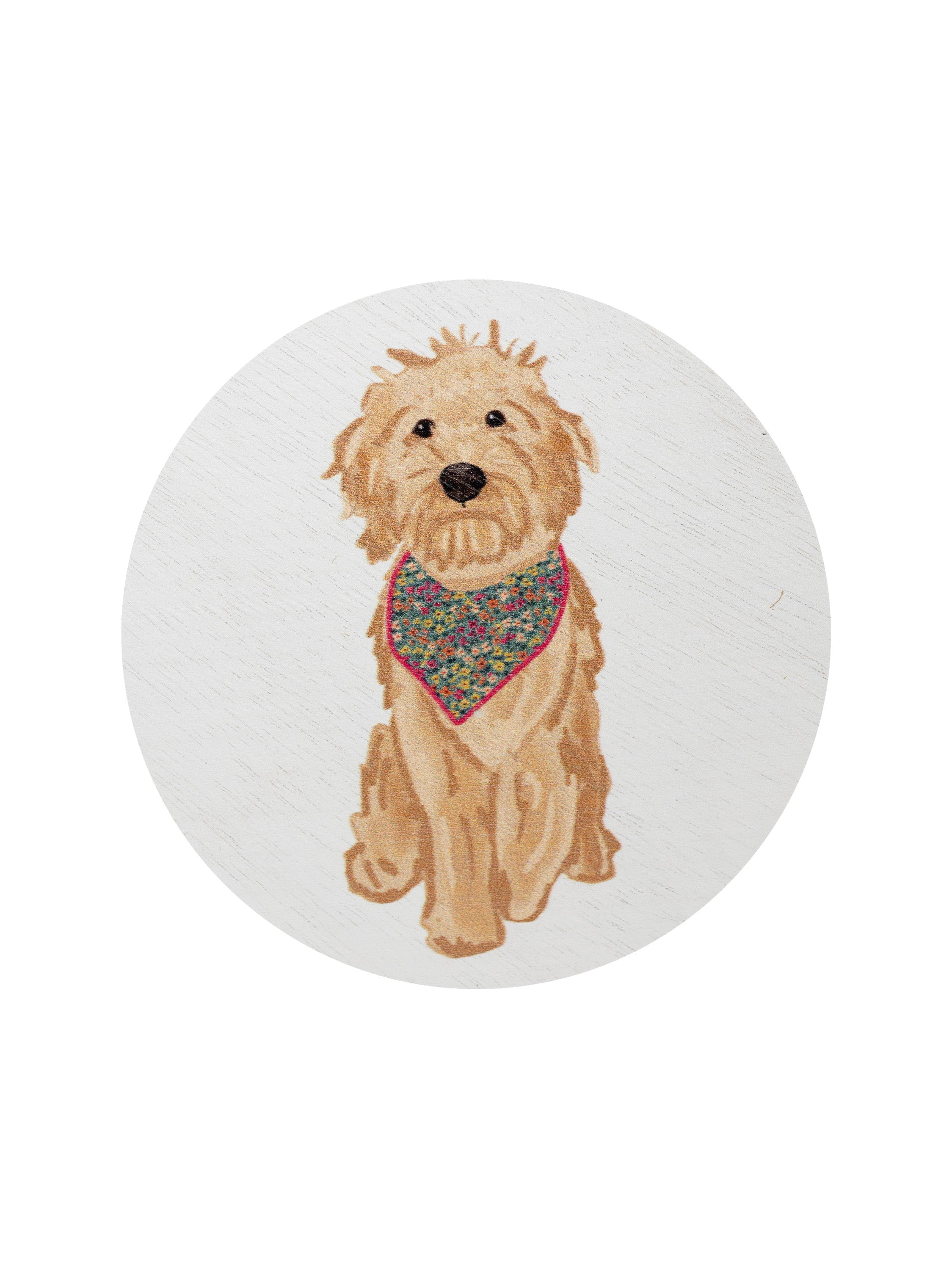 Sand + Paws Laundry Day 12 oz scented candle - Signature Scent