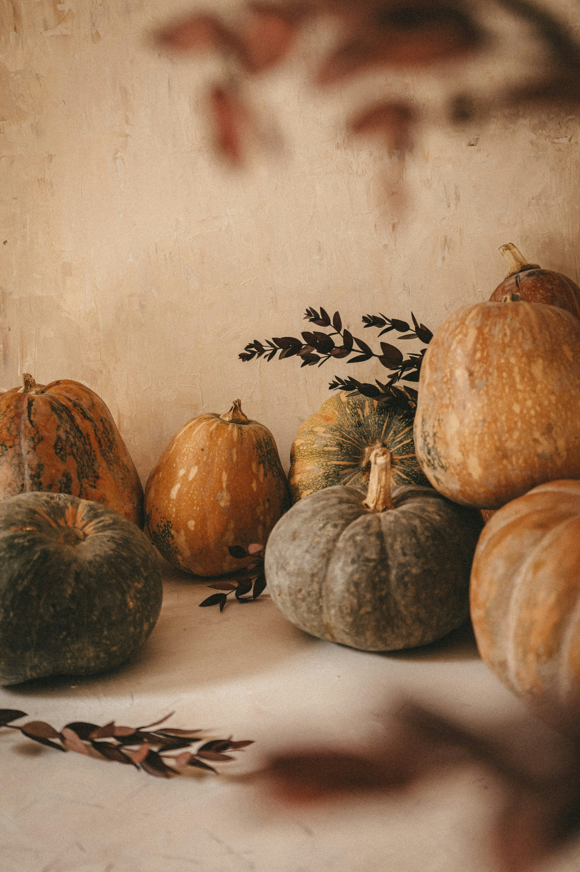 Pumpkin Cr¨¨me 50 ml Perfume Oil Dropper - Signature Scent