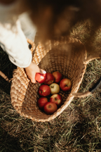 Apple Picking 12 oz scented candle - Scented Candle