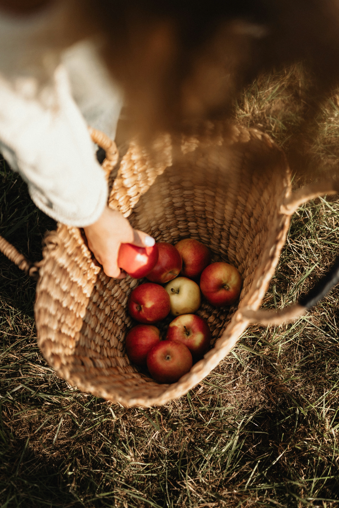 Apple Picking 12 oz scented candle - Scented Candle