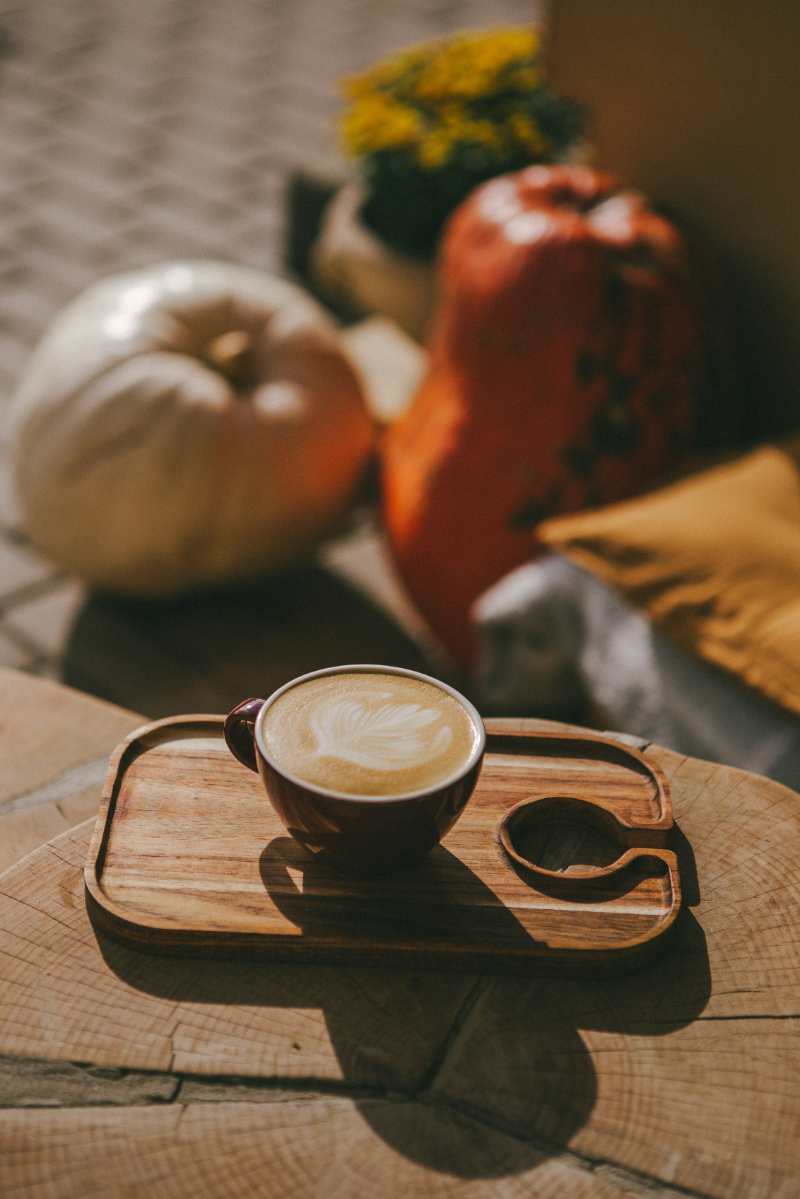 Sand + Paws Pumpkin Soy Latte 12 oz scented candle - Scented Candle