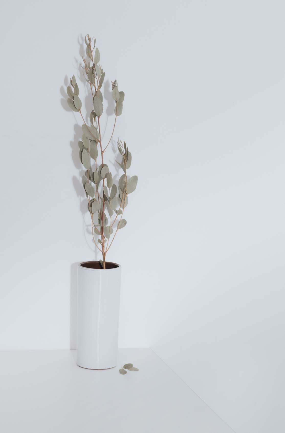 Eucalyptus Spearmint 100 ml Reed Diffuser - Everyday Essential