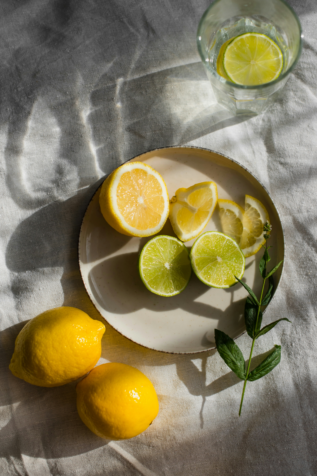 Sand + Paws Limoncello 12 oz scented candle - Signature Scent