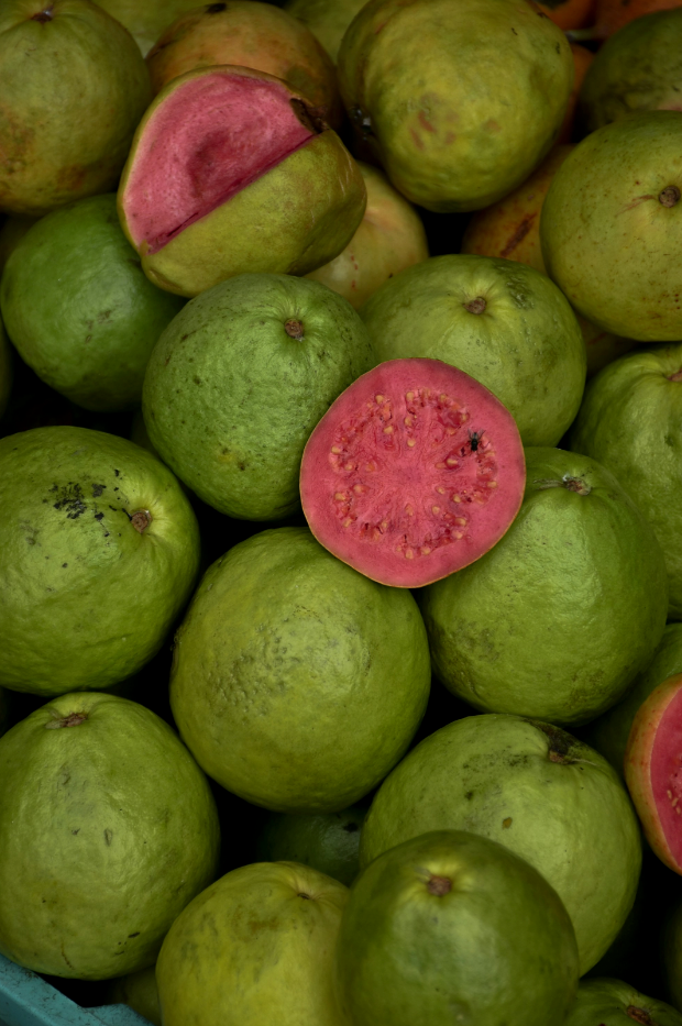 Paradise Guava 12 oz scented candle - Scented Candle