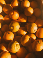 Sand + Paws Golden Citrus 12 oz scented candle - Signature Scent