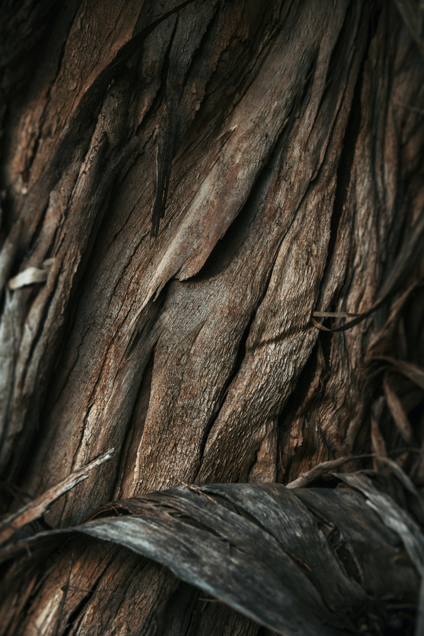 Vanilla Sandalwood 34 oz scented candle - Scented Candle
