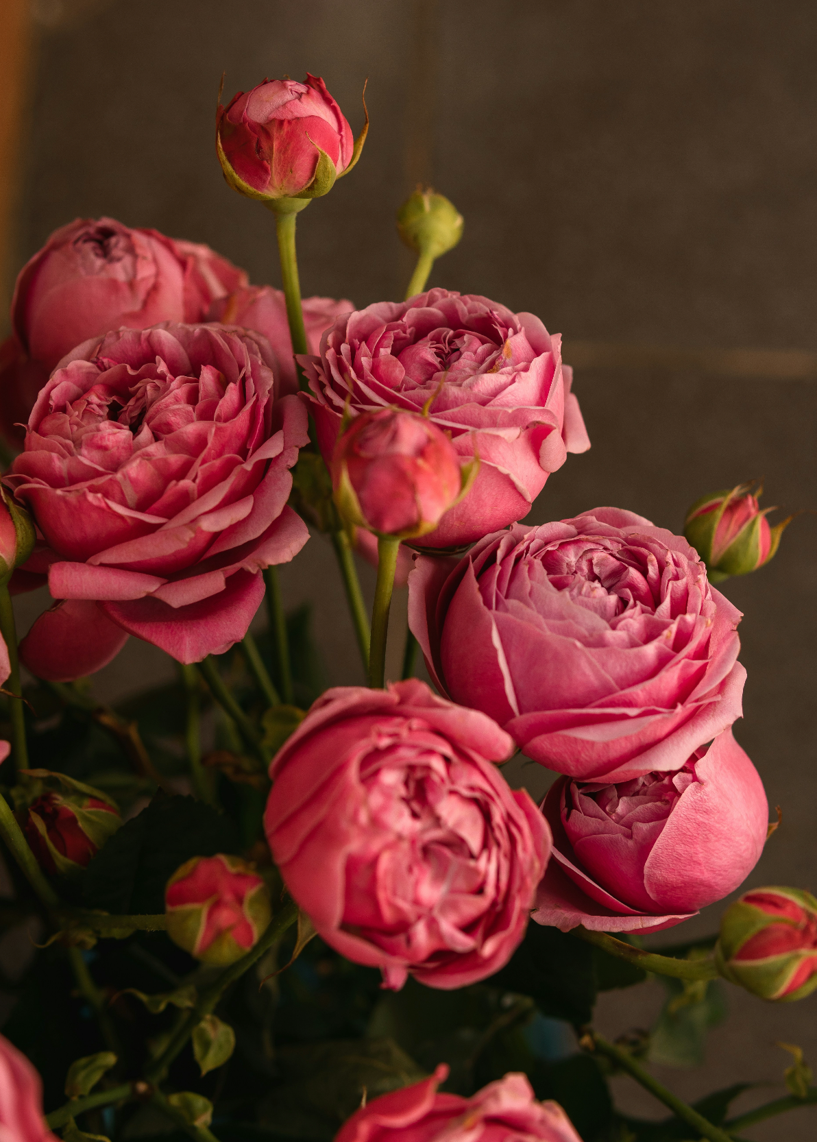 Rose & Peony 50 ml Perfume Oil Dropper - Signature Scent