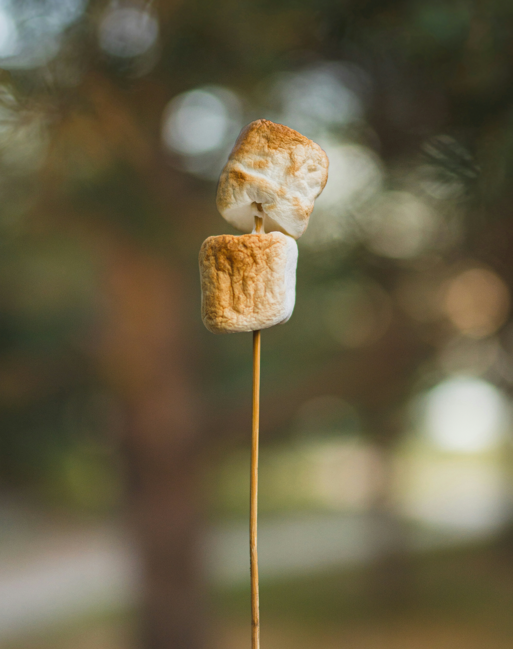 Toasted Marshmallow 50ml Perfume Oil Dropper - Signature Scent