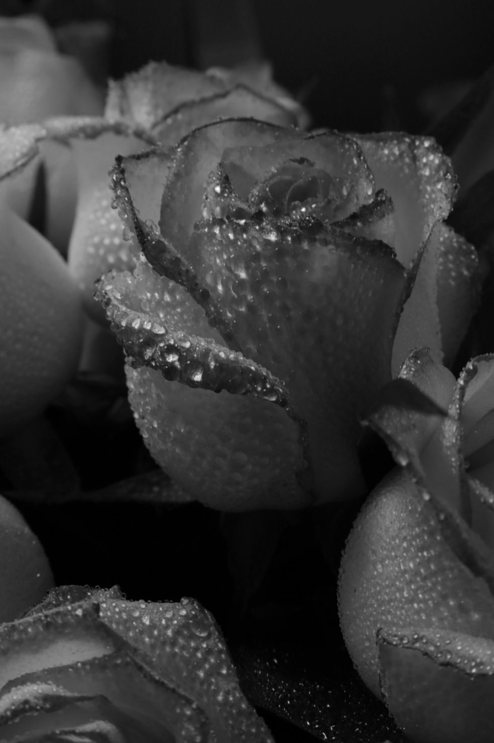 Rose Dew 50ml Perfume Oil Dropper - Signature Scent