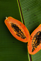 Island Papaya 10 oz scented candle - Scented Candle