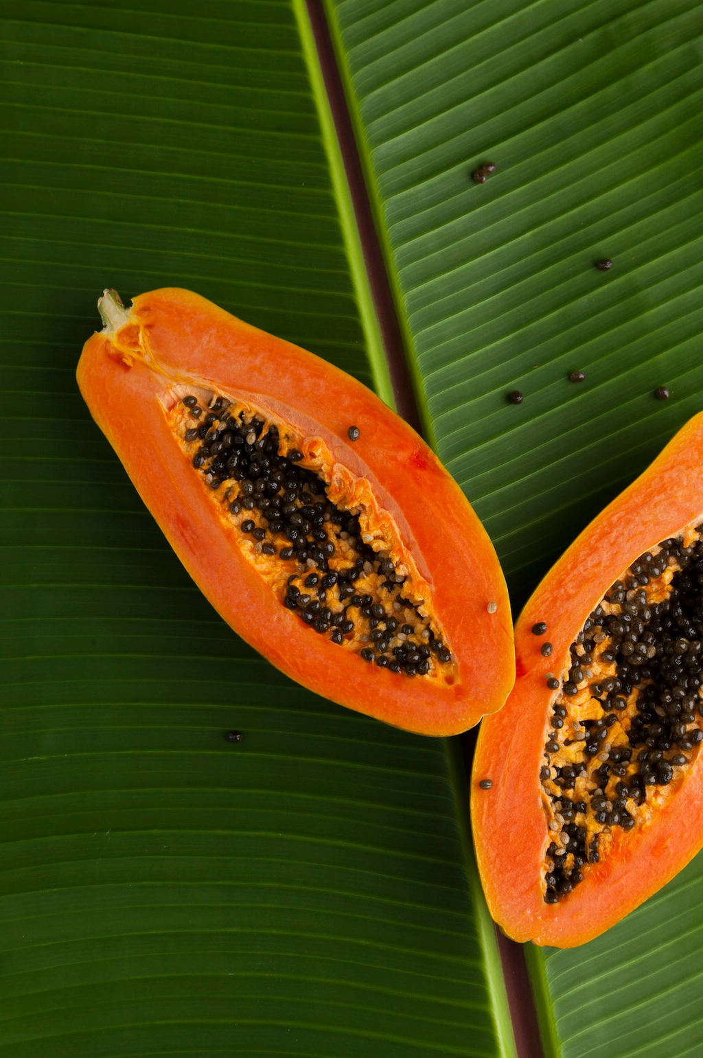 Island Papaya 12 oz scented candle - Scented Candle