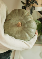 Sage Pumpkin 8.45 oz Liquid Hand Soap - Hand Care
