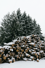 Firewood & Silver Fir 6 oz scented candle - Scented Candle
