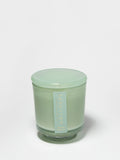 Seaside Dreams 8 oz scented candle - Scented Candle