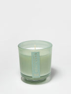 Seaside Dreams 8 oz scented candle - Scented Candle