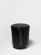 Coconut Creme 8 oz scented candle - Scented Candle