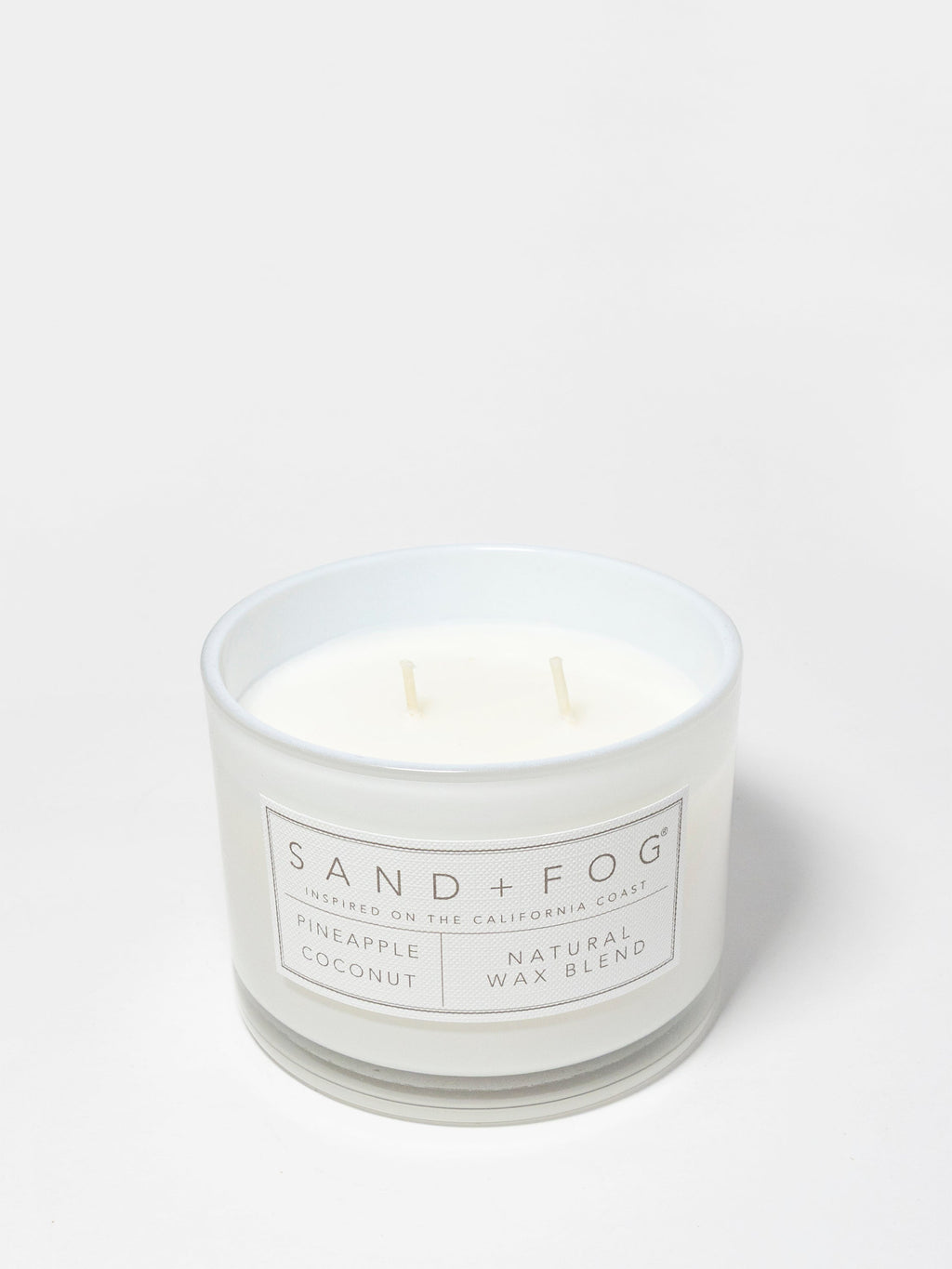 Pineapple Coconut 12 oz scented candle - Scented Candle