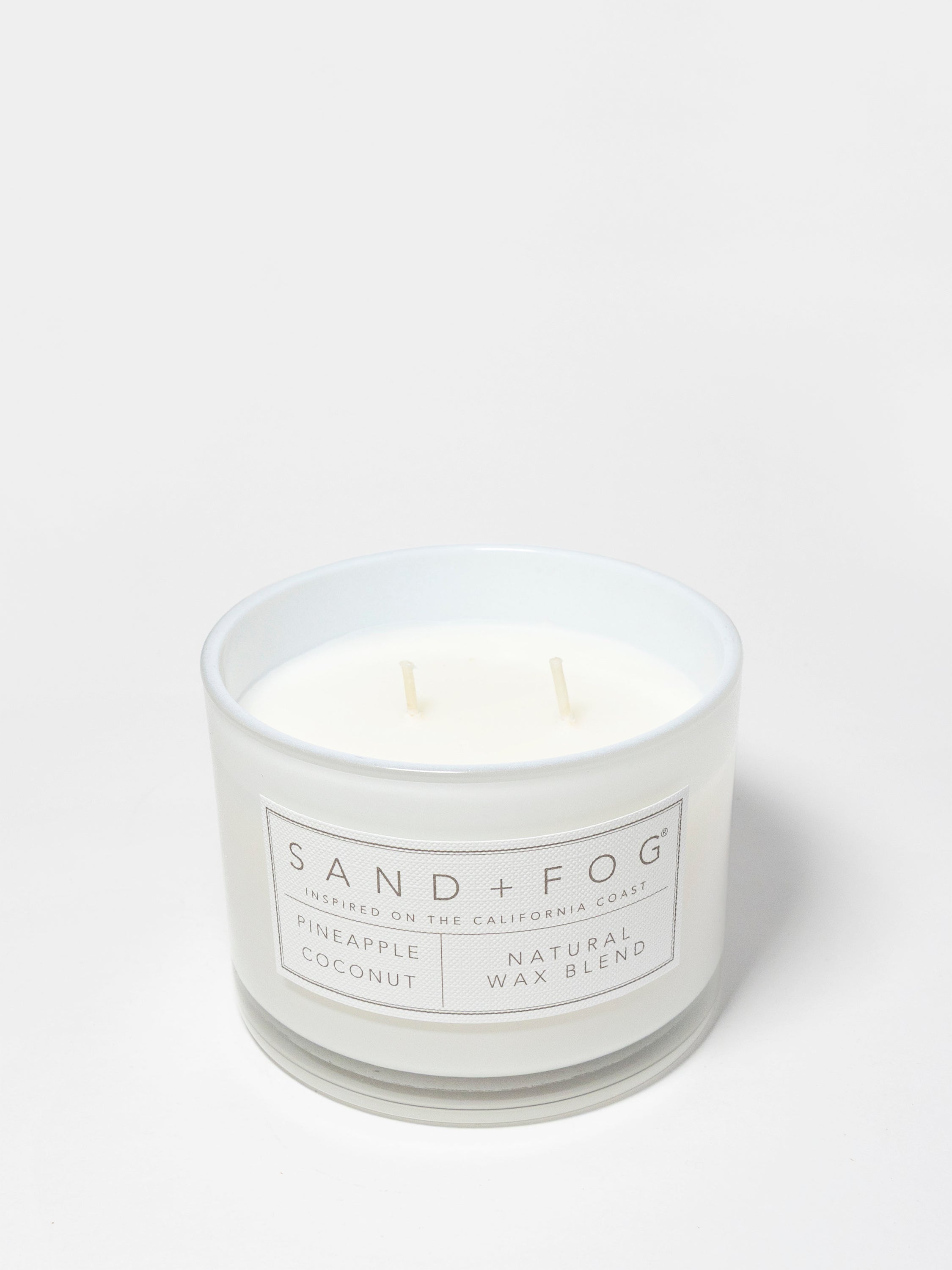 Pineapple Coconut 12 oz scented candle - Scented Candle