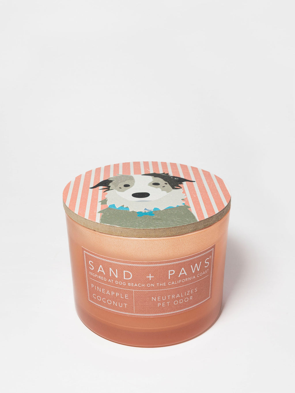Sand + Paws Pineapple Coconut 12 oz scented candle - Signature Scent