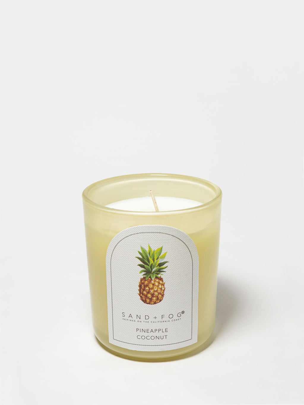 Pineapple Coconut 10 oz scented candle - Scented Candle