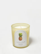 Pineapple Coconut 10 oz scented candle - Scented Candle