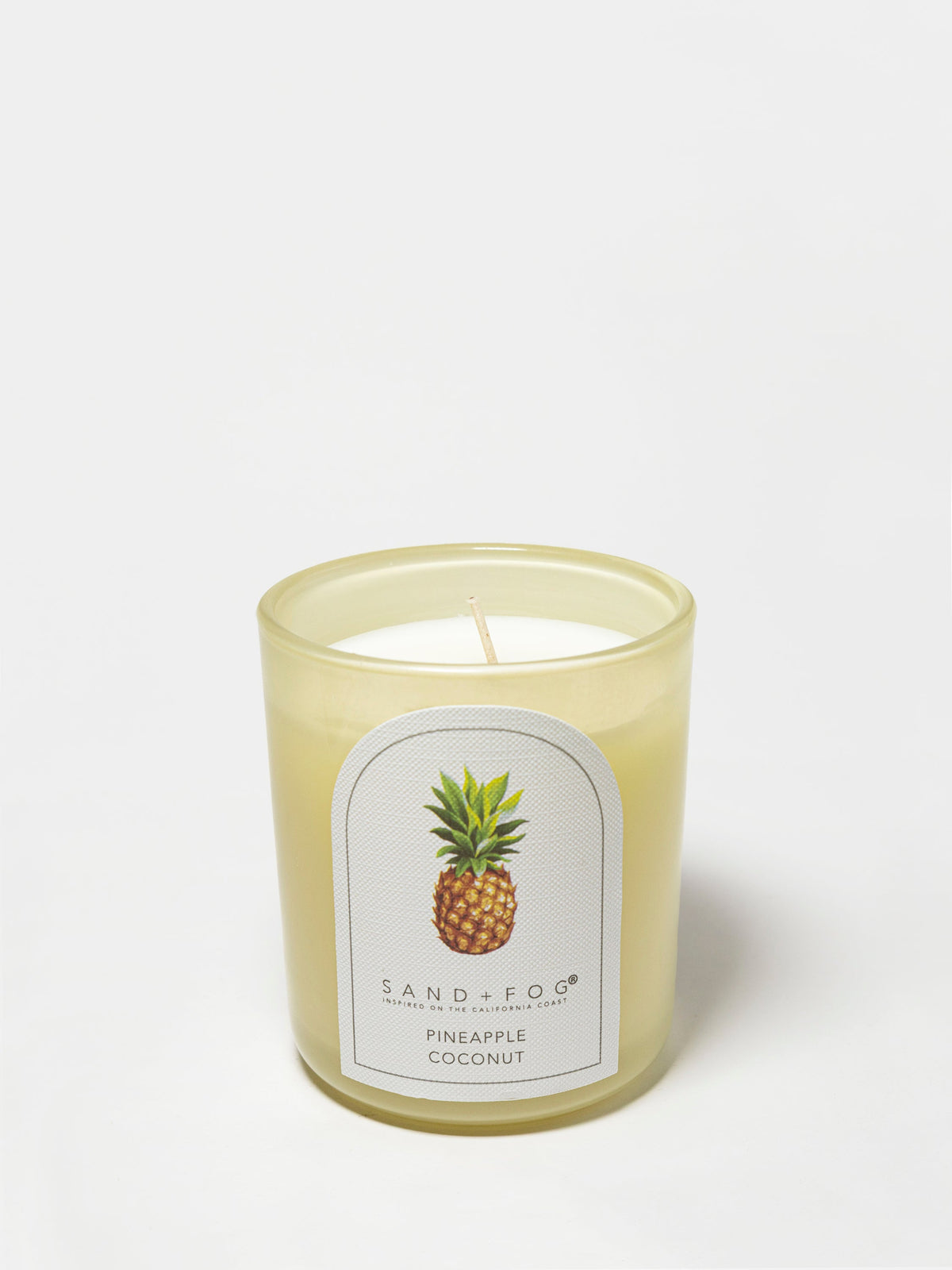 Pineapple Coconut 10 oz scented candle - Scented Candle