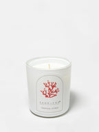Tropical Citrus 10 oz scented candle - Scented Candle