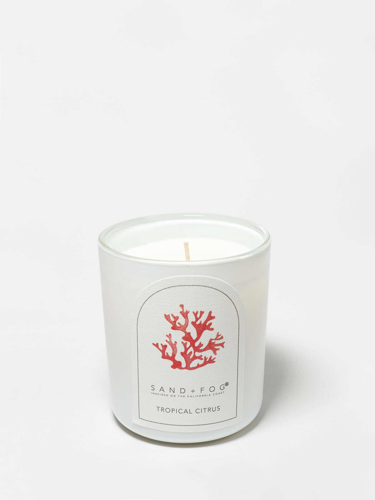 Tropical Citrus 10 oz scented candle - Scented Candle