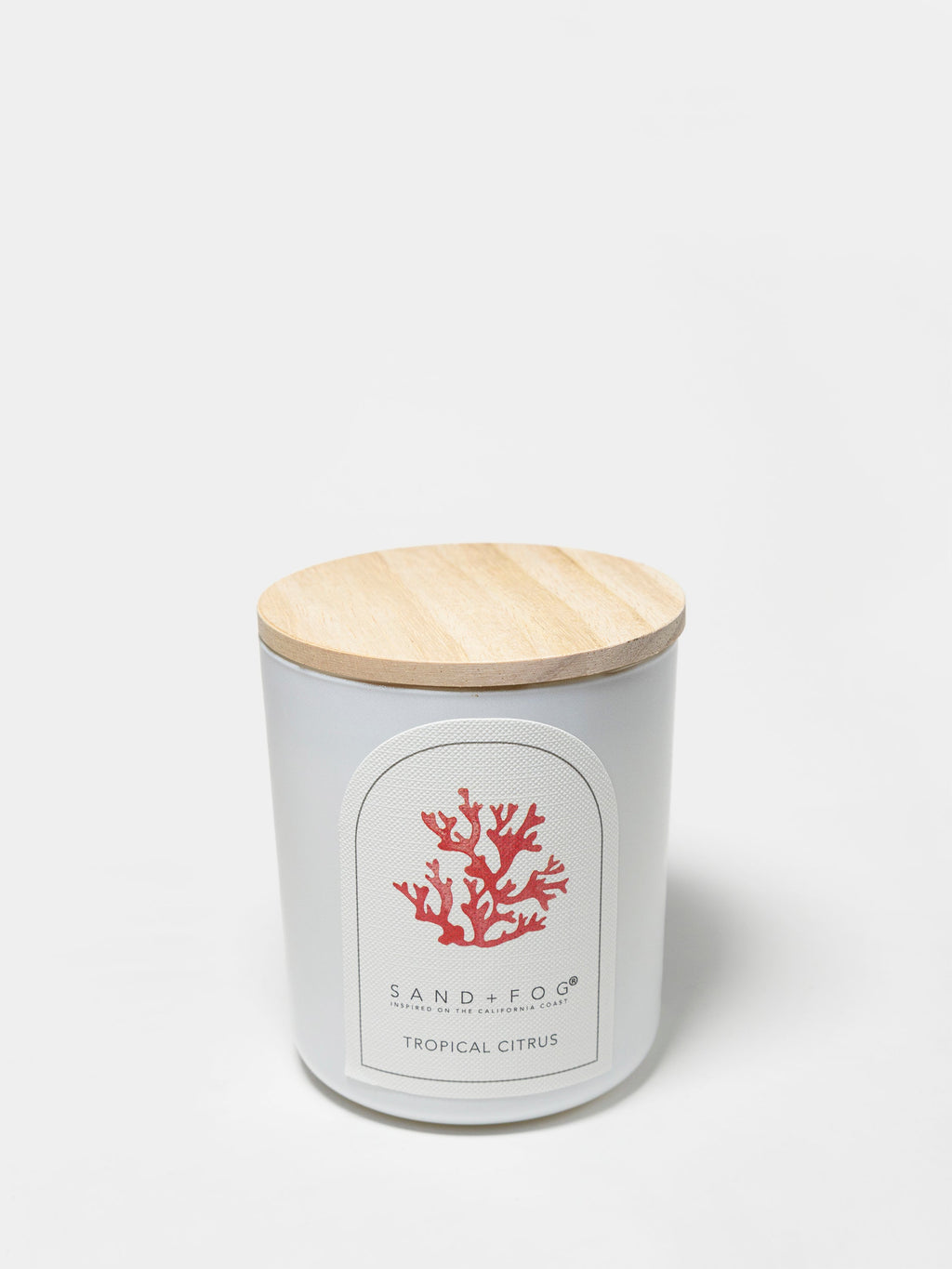 Tropical Citrus 10 oz scented candle - Scented Candle
