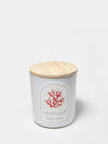Tropical Citrus 10 oz scented candle - Scented Candle