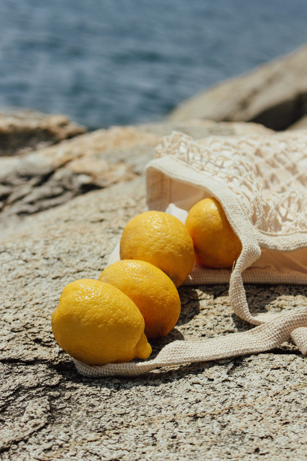 Italian Citrus 12 oz scented candle - Scented Candle