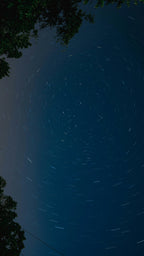 Midnight Blue 50 ml Perfume Oil Rollerball - Signature Scent