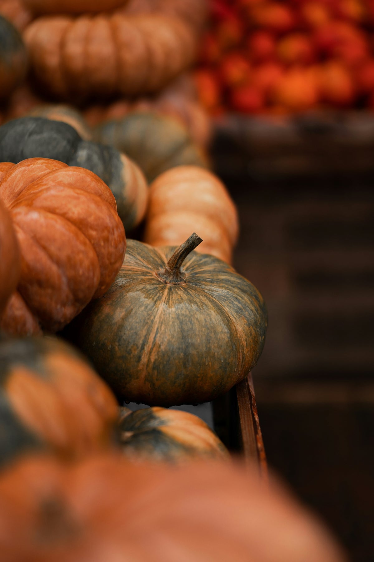 Cinnamon Pumpkin 12 oz scented candle - Scented Candle