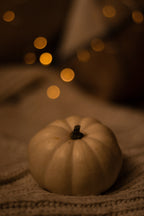 Pumpkin & Vanilla 12 oz scented candle - Scented Candle